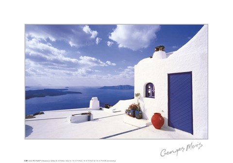 Framed Blue Door with Red Pot Print