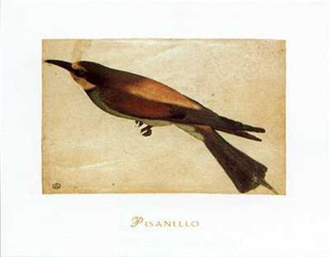 Framed Gruccione Print