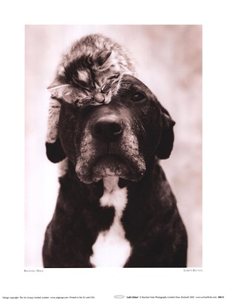 Framed Loki's Kitten Print