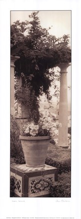 Framed Jardin Botanico Print