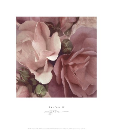 Framed Parfum II Print