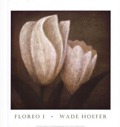 Framed Floreo I Print