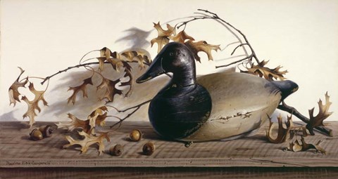 Framed Chesapeake Bay Canvasback Print