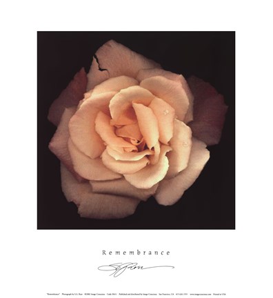 Framed Remembrance Print