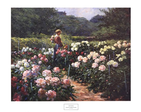 Framed Woman in a Garden of Peonies Print