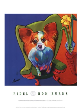 Framed Fidel Print