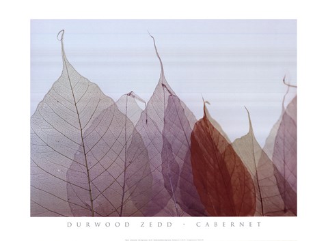 Framed Cabernet Print