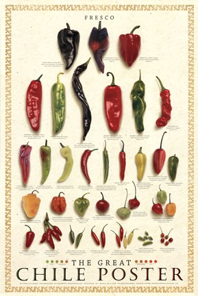 Framed Great Chile Poster Print