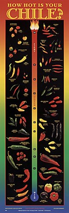 Framed How Hot Is Your Chile? Print