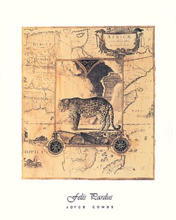 Framed Felis Pardus Print