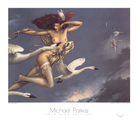 Framed Night Flight Print