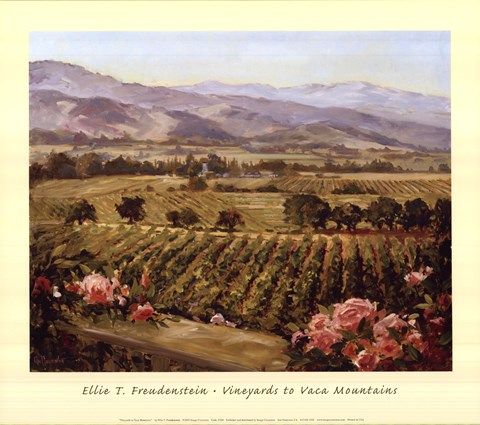 Framed Vineyards to Vaca Mountains Print