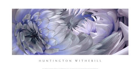 Framed Dahlias 6 Print