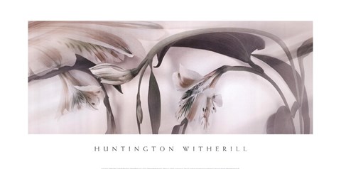 Framed Tiger Lilies 4 Print