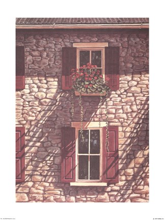 Framed Shadows and Shutters Print