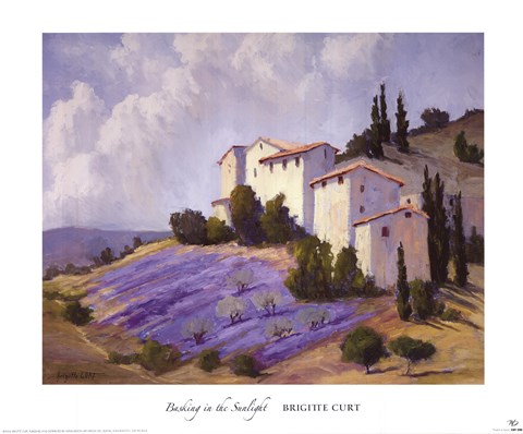 Framed Basking in the Sunlight Print