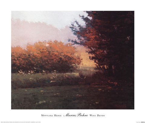 Framed Montlake Hedge Print