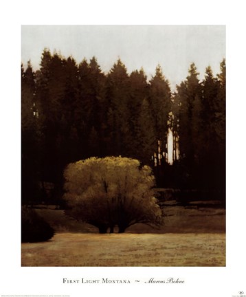 Framed First Light Montana Print