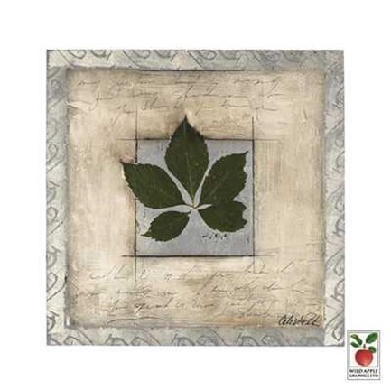 Framed Leaf Diaries III Print