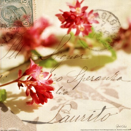 Framed Vintage Letters and Pink Blossoms Print