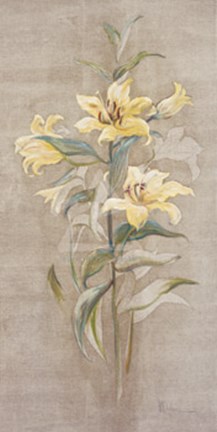 Framed Elegance of Springtime IV Print