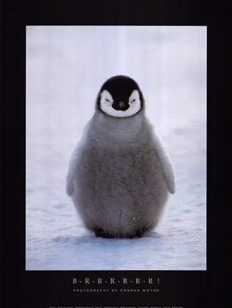 Framed B-R-R-R-R-R-R! Print