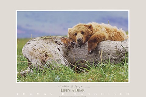 Framed Life's a Bear Print