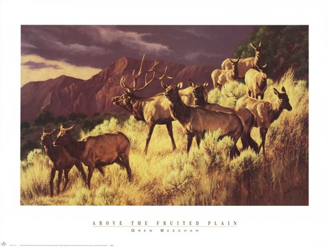 Framed Above the Fruited Plain Print