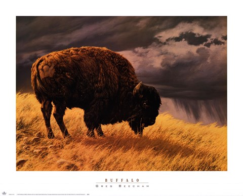 Framed Buffalo Print
