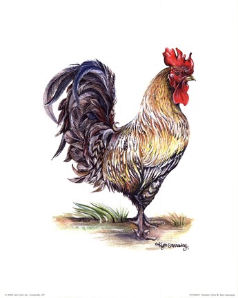 Framed Southern Strut III Print