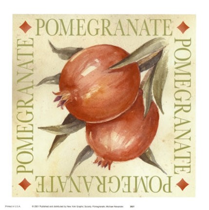 Framed Pomegranate Print