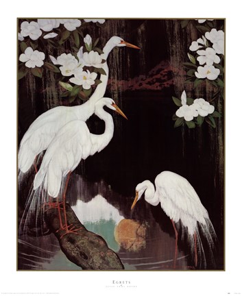 Framed Egrets Print
