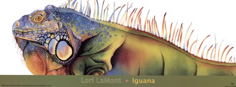 Framed Iguana Print