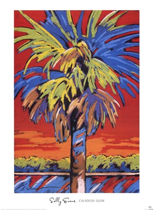 Framed Caladessi Glow Print