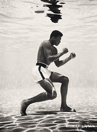 Framed Muhammad Ali - underwater Print