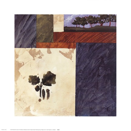 Framed Small Snapshot II Print