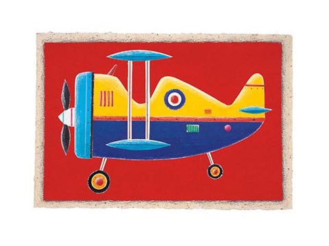 Framed Bi-Plane Print