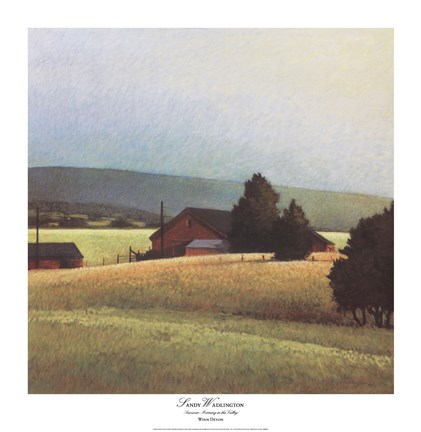 Framed Summer Morning in the Valley Print