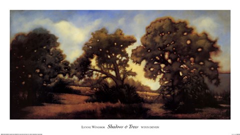 Framed Shadows and Trees Print