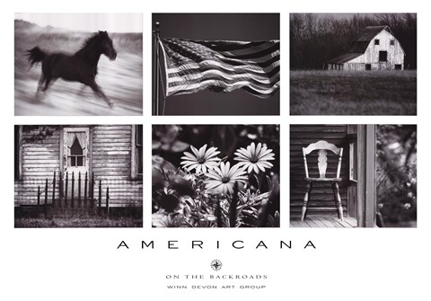 Framed Americana Print