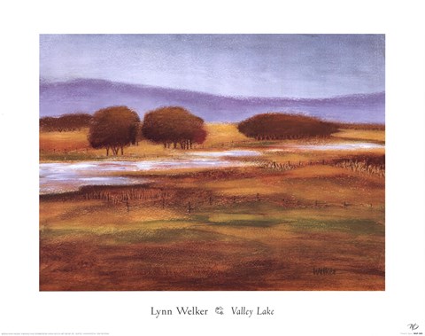 Framed Valley Lake Print