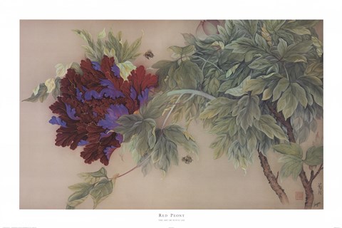 Framed Red Peony Print