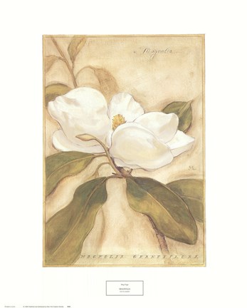 Framed Magnolia Print