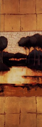 Framed Golden Reflections II Print