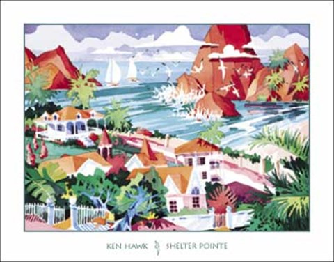 Framed Ken Hawk - Shelter Pointe Size 28x22 Print