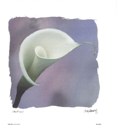 Framed Calla Lily Print