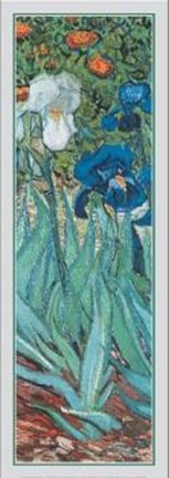 Framed Iris (detail) Print