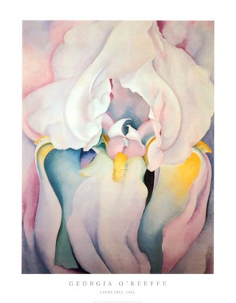 Framed Light Iris, 1924 Print