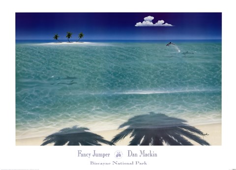 Framed Fancy Jumper Print