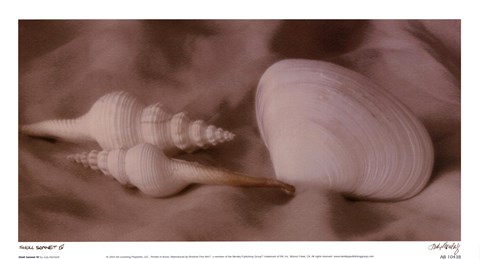 Framed Shell Sonnet lV Print